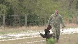 Osceola turkey hunt [upl. by Petronella]