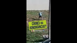 Crime ou ignorância [upl. by Appolonia]