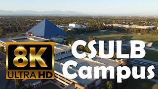 California State University Long Beach  CSULB  8K Campus Drone Tour [upl. by Ertsevlis]