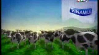 vinamilk 100wmv [upl. by Jadda]