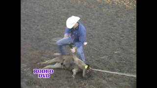 CALF ROPING rodeoeventscom [upl. by Monty]