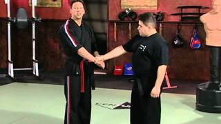 Scott Rogers Authentic Pressure Point  Volume 1 Fundamentals of Pressure Points Arms and Set Ups [upl. by Pilar]