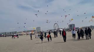 Berck 16 avril 2023 Festival des Cerfsvolants 4K UHD [upl. by Robbert]