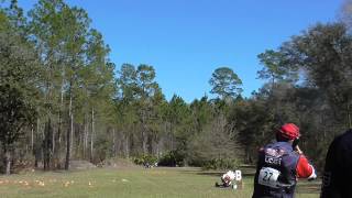 Friday FITASC  Florida Challenge Sporting Clays  Bradford [upl. by Anyd]