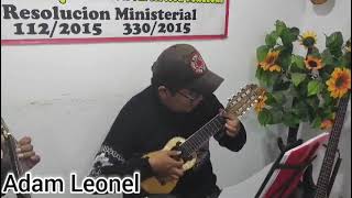 Potosino soy cover Guitarra y Charango [upl. by Gnol608]