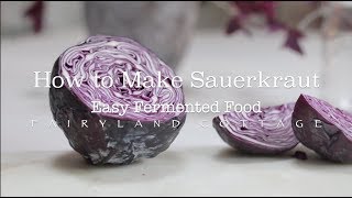 How to Make Sauerkraut  Easy Fermented Food  Healthy Gut [upl. by Oliviero]