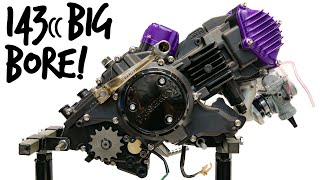 The Ultimate Pit Bike Engine Build [upl. by Neeka808]