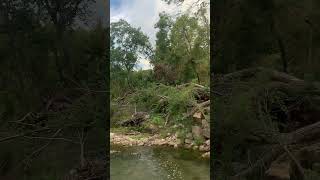 Chickasaw National Recreation Area  Pavilion Springs Trail waterfwater foresthikes summer [upl. by Nosneb441]