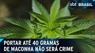 STF fixa limite de 40 g de maconha para diferenciar usuário de traficante  SBT Brasil 260624 [upl. by Cleve]