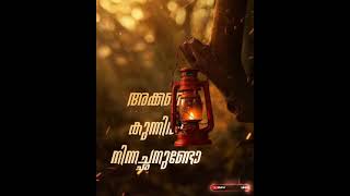 🎼Minnadi Minnadi Minnaminunge Song Lyrical WhatsApp Status ❣️💝 [upl. by Parcel]