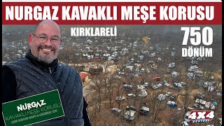 Karavan Kamp Alanları 2 Nurgaz Kavaklı Meşe Korusu [upl. by Laamak]