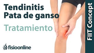 Tratamiento de la tendinitis de la pata de ganso [upl. by Ellehcirt]