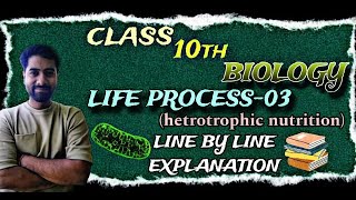 Life processes class 10th Heterotrophic Nutrition NCERT line by line explanation [upl. by Ladew187]