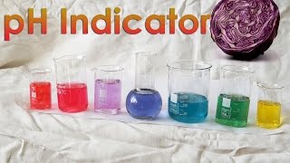 Make your OWN pH Indicator from Red Cabbage [upl. by Nereus]