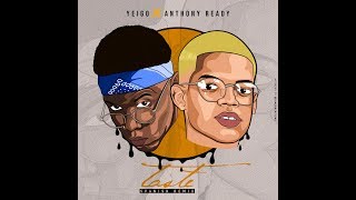 Taste Spanish Remix  Tyga ft Anthony Ready amp Yeigo Official Remix [upl. by Cykana]