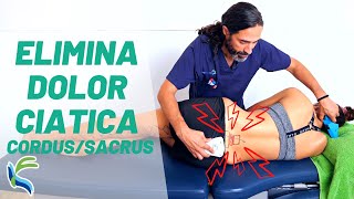 Como ELIMINAR el dolor de CIATICA por HERNIA con CORDUS y SACRUS  Fisiolution [upl. by Pardew]