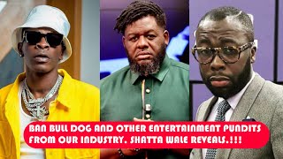 If you want our industry to thrive like Nigeria Ban Bull Dog and other pundits Shatta reveals [upl. by Abbotsun152]