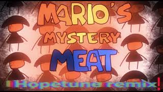 Mario’s Mystery Meat Cursed Cathedral  Hopetune Remix [upl. by Atnuhs160]