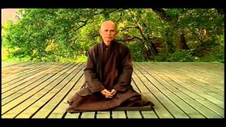 Thich Nhat Hanh  Wat Is Nirvana [upl. by Katha808]