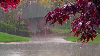 20Min Suono Rilassante Della Pioggia ASMR ITA Rain Sound Relaxing [upl. by Melanie]