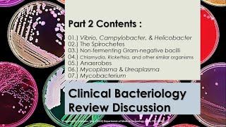 Summarized Review Discussion 02  Microbiology 1  CLINICAL BACTERIOLOGY pt2 [upl. by Weig]