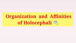 Holocephali  General character  Organisation and Affinities of Holocephali in Hindi amp English [upl. by Samp]