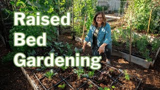 Raised Bed Gardening Top Questions Answered [upl. by Lindy]