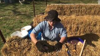 Straw Bale Gardening  Conditioning The Bales Days 3 Through 6 [upl. by Eednac]