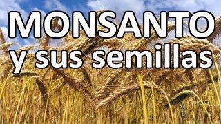 Monsanto y sus semillas [upl. by Lotson]