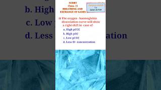 BREATHING AND EXCHANGE OF GASES NCERT Class 11 shorts respiration [upl. by Boorman556]