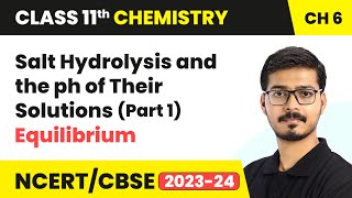 Salt Hydrolysis and the ph of Their Solutions Part 1  Equilibrium  Class 11 Chemistry Chapter 6 [upl. by Attikram66]