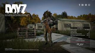 2023 BEST DAYZ SETTINGS FOR PERFORMANCE AND PVP [upl. by Nalorac]