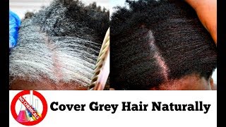 How To Turn White Or Grey Hair Into Black Naturally With No Chemicals Natural Hair Dye Step By Step [upl. by Lap113]