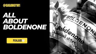 BOLDENONE USES  SIDE EFFECTS  BENEFITS IN PUNJABI [upl. by Treble]