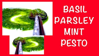 How to Make a Basil Parsley and Mint Pesto  Meal Food Cooking Recipe Kitchen [upl. by Esekram]