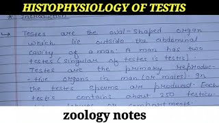 HISTOPHYSIOLOGY OF TESTIS [upl. by Brindell]