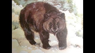 The Atlas Bear [upl. by Nigrom]