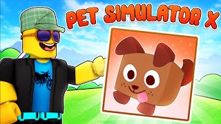 LOGGY BECOMING A BILLIONAIRE IN PET SIMULATOR X [upl. by Ellsworth631]