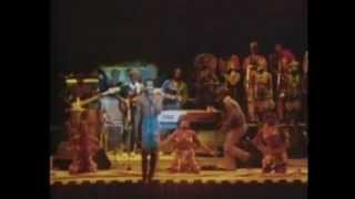 Fela Kuti live in England 1984 Teacher Dont Teach Me Nonsense [upl. by Winola]