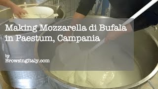 Making Mozzarella di Bufala in Paestum Campania [upl. by Ellehcen566]