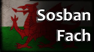 Welsh Folk Song  Sosban Fach [upl. by Aelhsa]