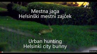 Mestna Jaga  Zajec  urban hunting  rabbit [upl. by Naashar]