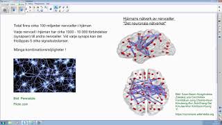 Nervsystemet  översikt del 2 av 2 [upl. by Eyar]