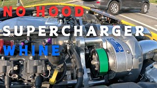 No Hood Loud Supercharger Whine D1X Procharged C5 Corvette Z06 [upl. by Hirasuna]