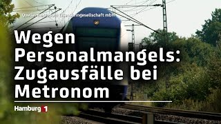 Personalmangel sorgt für Zugausfälle Metronom dünnt Fahrplan aus [upl. by Llertrac]