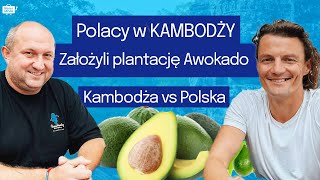 MILIONY z AWOKADO BIZNES w Kambodży to RAJ BRAK PODATKÓW Piotr Łysik  Marcin Ługowski [upl. by Dnar]