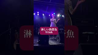 淋しい熱帯魚  Wink【歌ってみた】 cover [upl. by Homans]