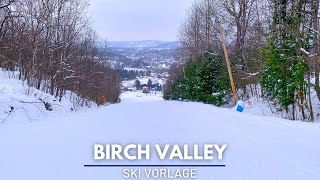 Birch Valley  Ski Vorlage [upl. by Leverick405]