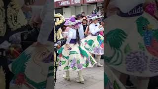 ✨ Quetzales ✨Chimalhuacán carnaval carnavaldechimalhuacan [upl. by Cornell]