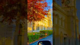 🍁Autumn Season🍁  Australia 🇦🇺 australia travel autumn viral trending melbourne [upl. by Yordan]